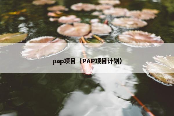 pap项目（PAP项目计划）